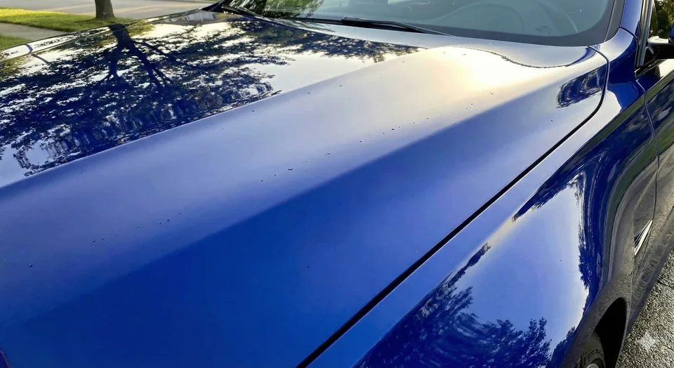 Paint Protection